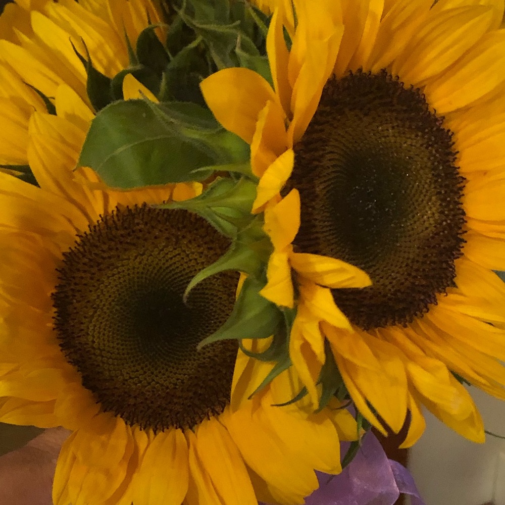 Meet your Posher, Sonja